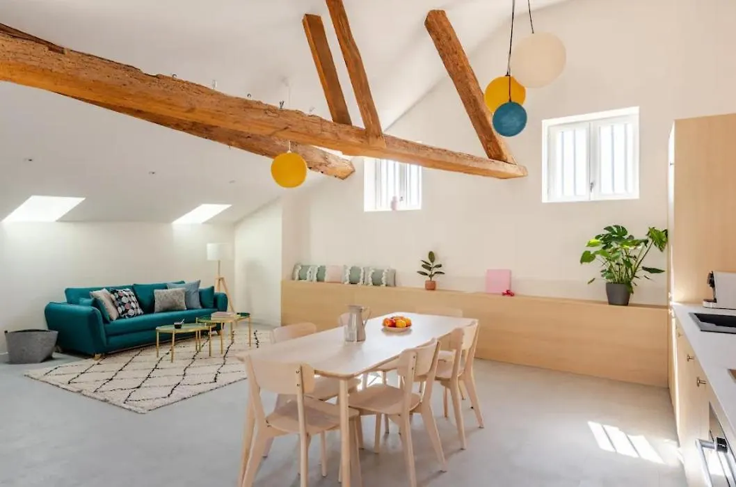 Olaf Apartment Lyon