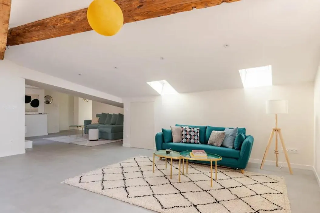 Olaf Apartment Lyon France